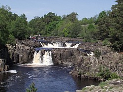 Low Force