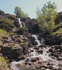 Bleabeck Force