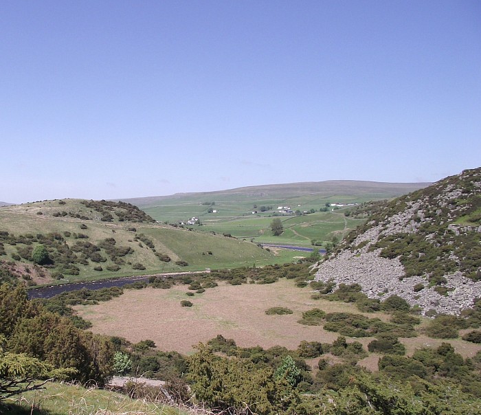 Forest in Teesdale